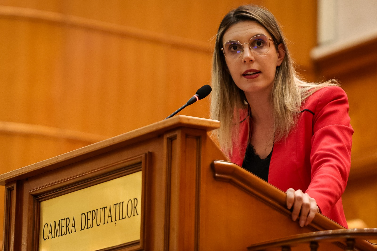 O treime din proiectele de mediu s-au pierdut pe drum