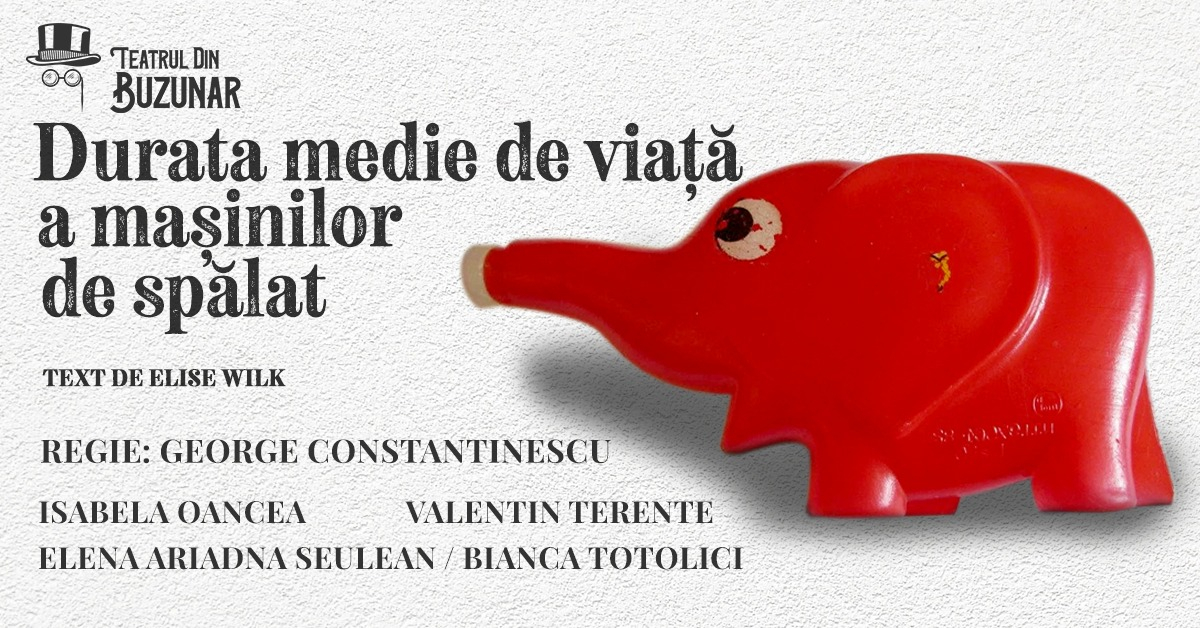 O comedie spumoasă, la Teatrul din Buzunar