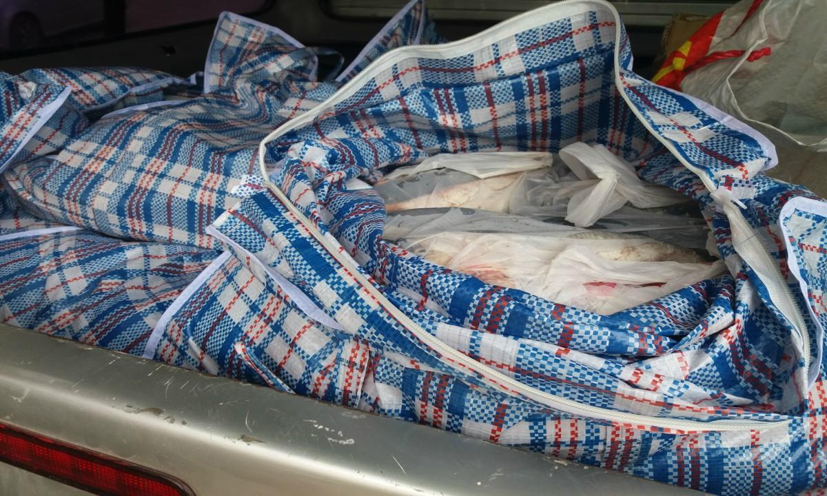 Comercianţii de peşte, fugăriţi de pe Calea Prutului