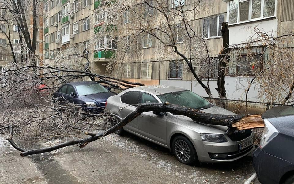 Ploaia înghețată a distrus mașini și a lăsat zeci de mii de oameni fără curent