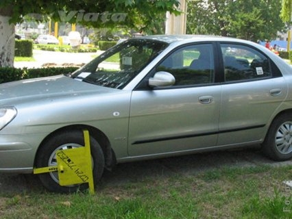 Caracatiţele urbane, în acţiune