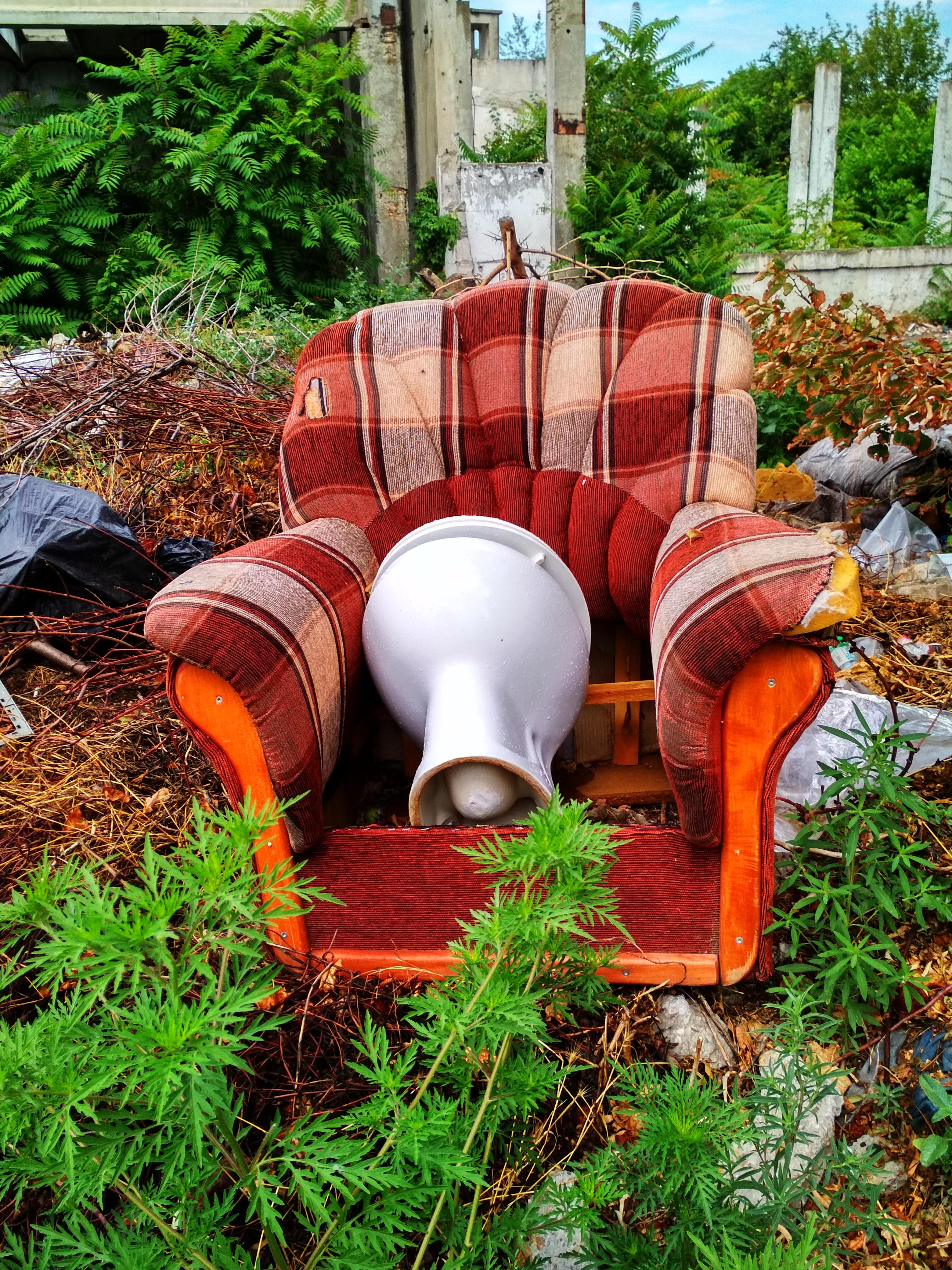 ”Tronul” dintre gunoaie şi buruieni