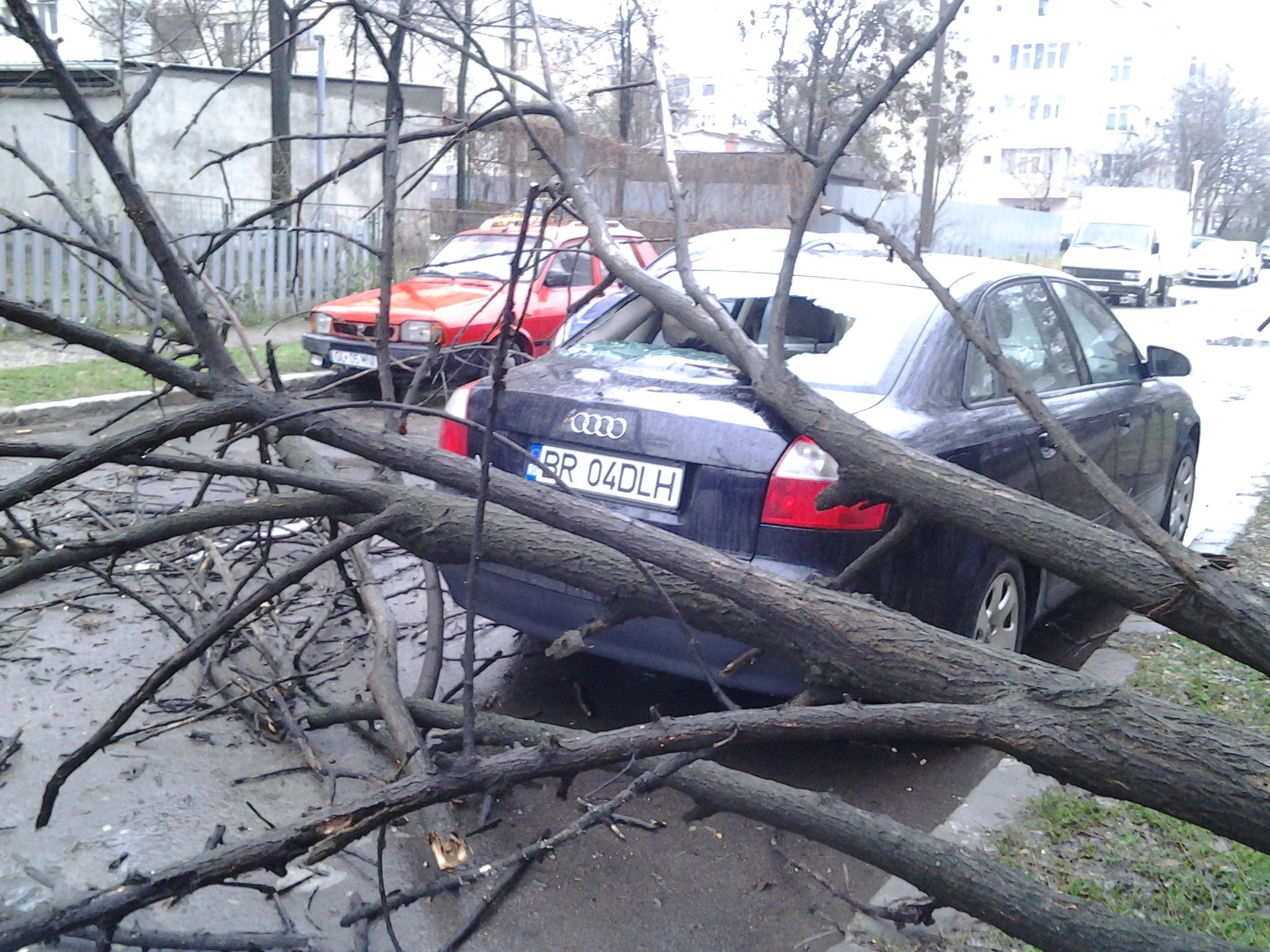 Maşină AVARIATĂ de un copac SMULS din rădăcină de VÂNT