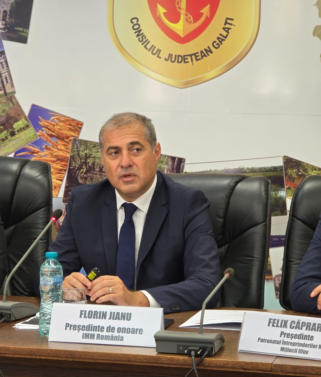 „Eu aș militariza ANAF”, susține președintele de onoare al IMM România