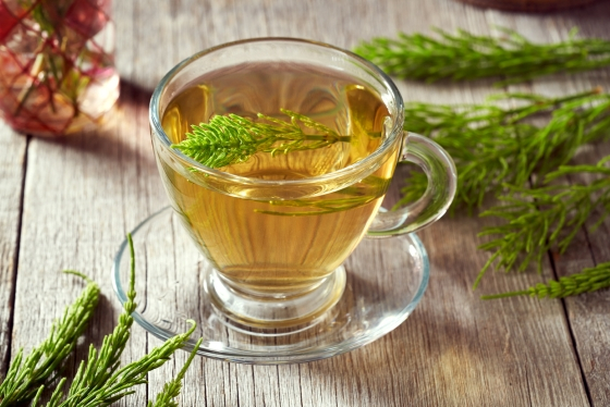 Coada calului, planta medicinală cea mai bogată în siliciu