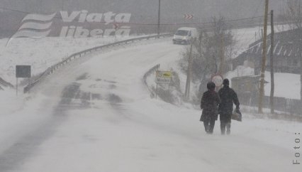 Prin viforniţă, spre cabinete 