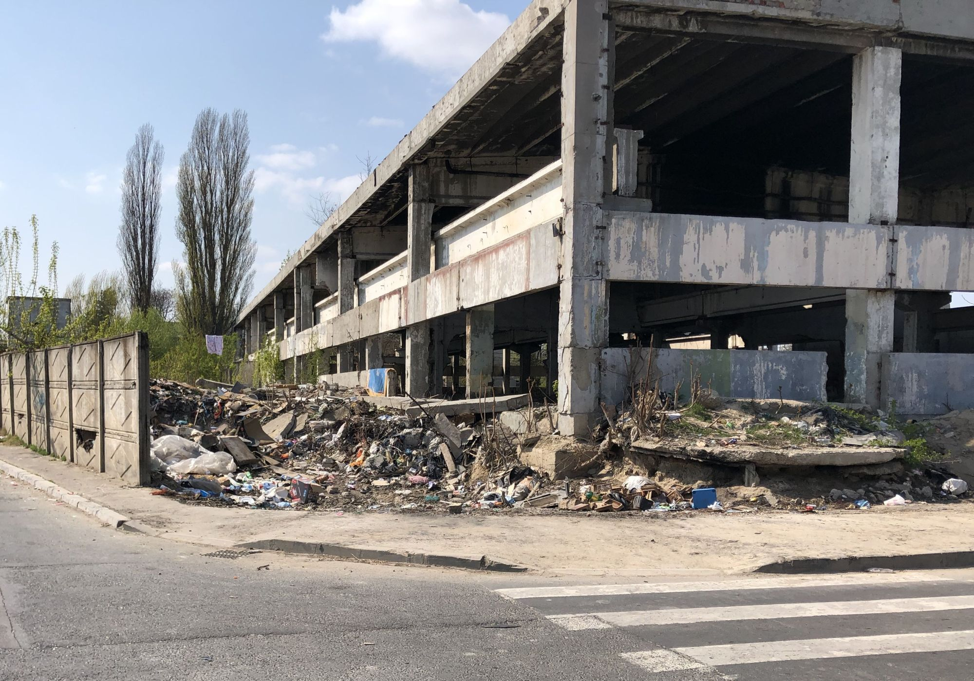 Şobolanii mişună nestingheriţi prin Galaţi. VIDEO