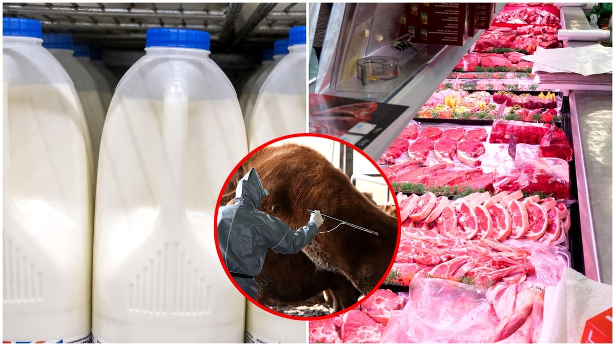 Galațiul se pregătește să țină febra aftoasă departe