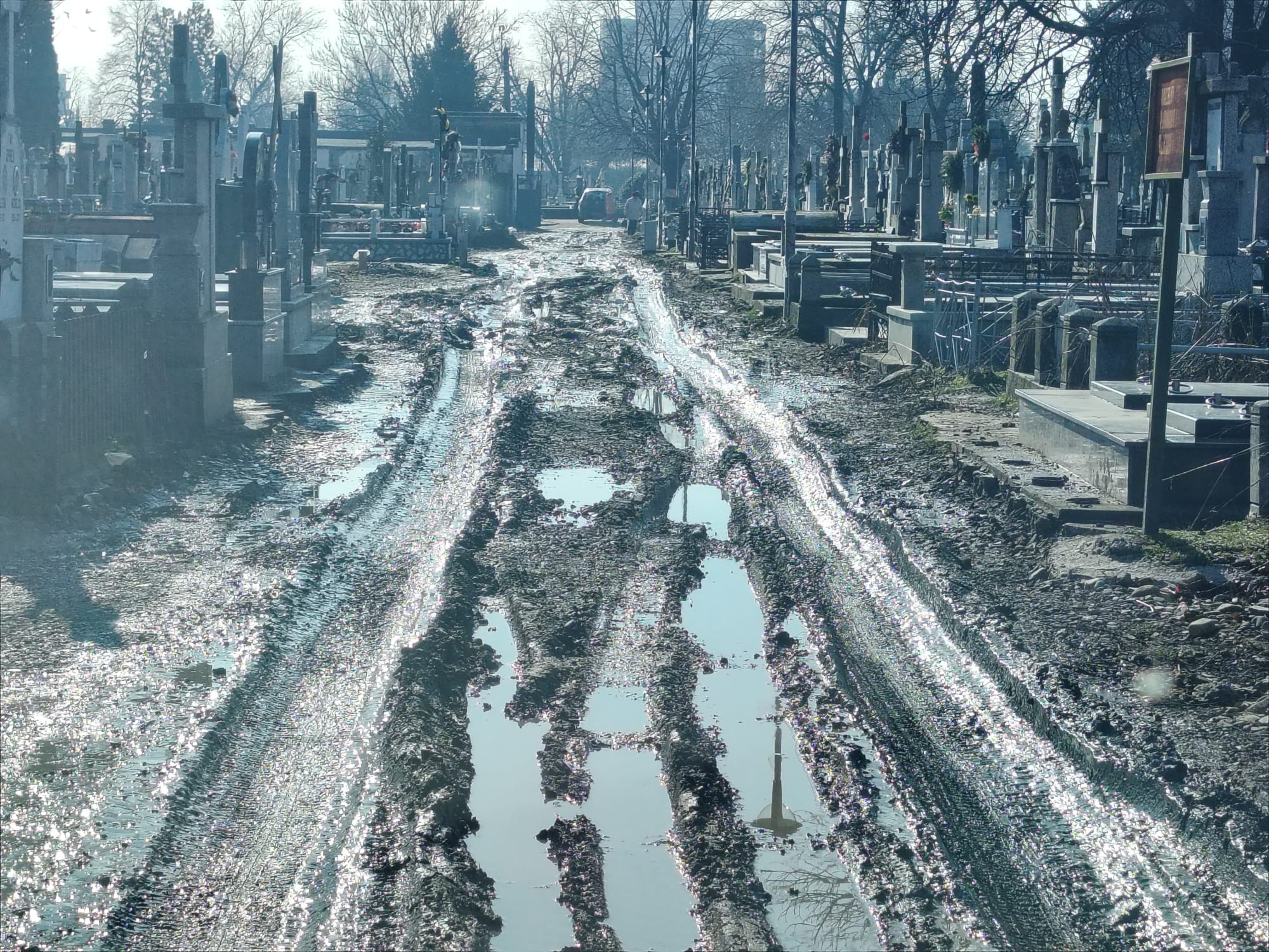 Poza zilei. Mocirla de la „Eternitatea”