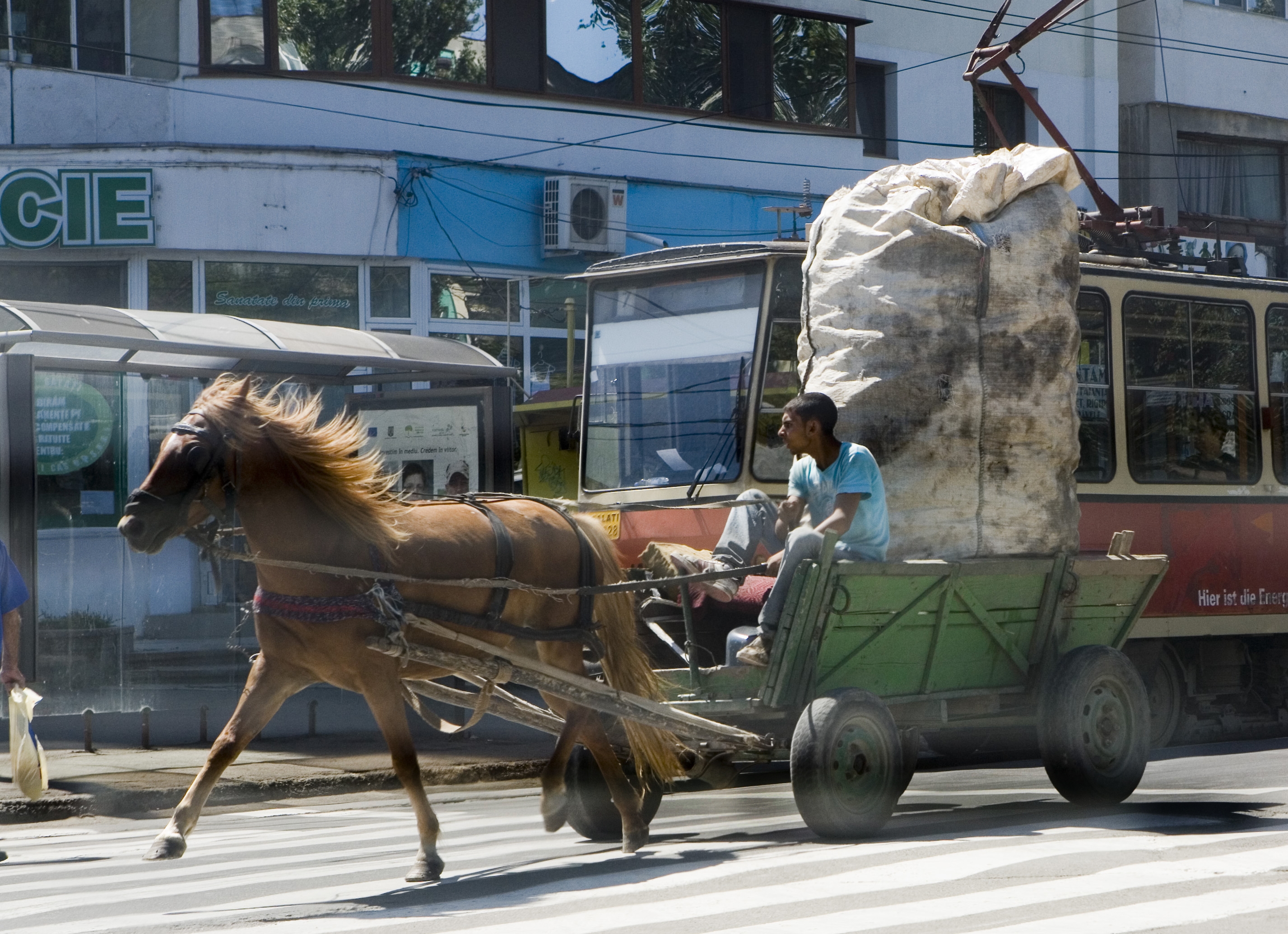 Tropa-trop prin Galaţi: Primaria porneşte la "vânătoare" de căruţe