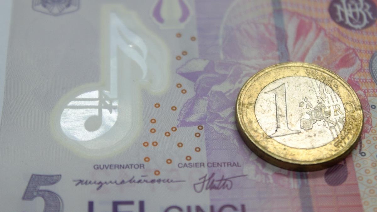 Leul încă se ține bine, sub atenta supraveghere a BNR