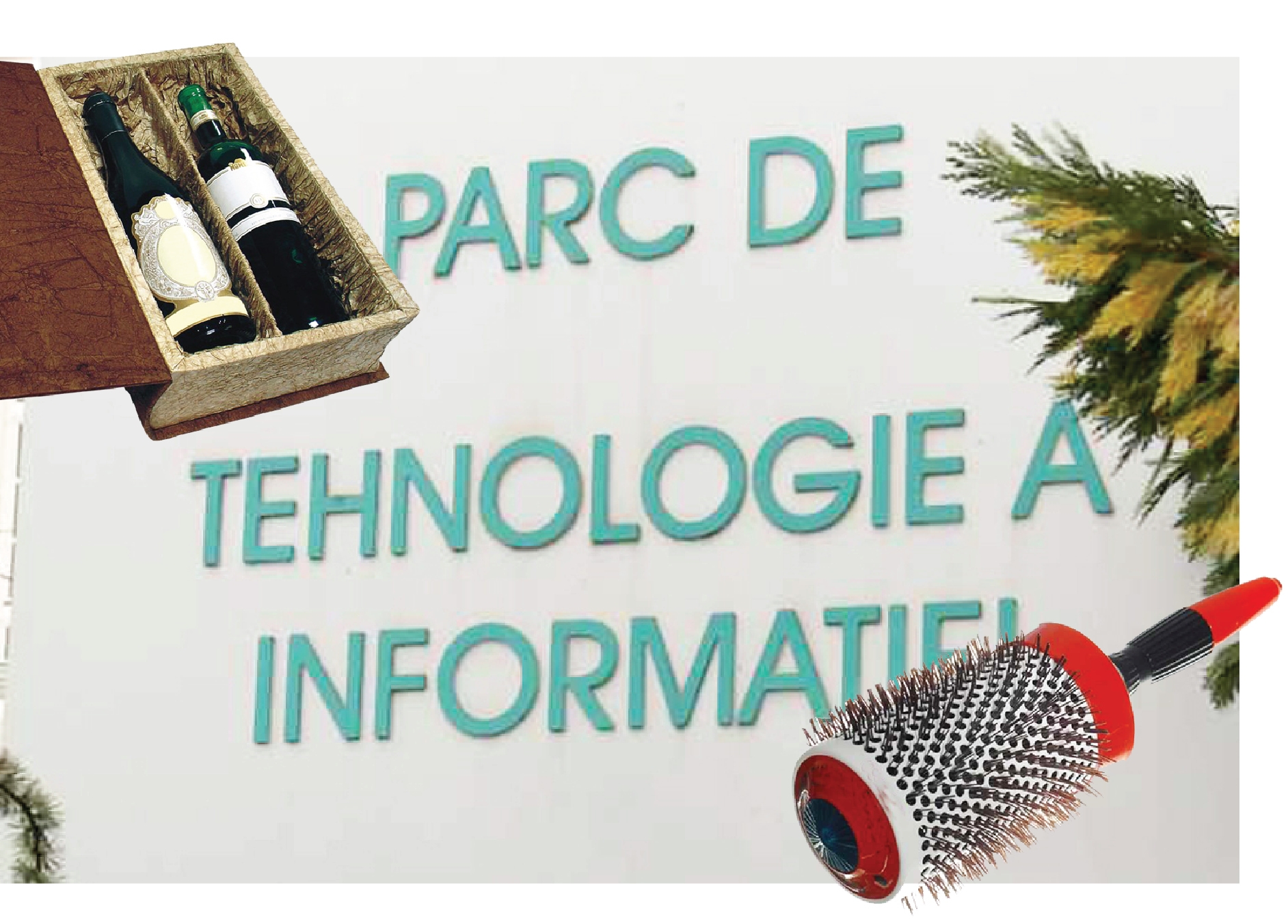 ACHIZIȚII NELEGALE | Ce se mai trece pe cheltuieli. PARCUL DE SOFT şi-a cumpărat perie de coafat şi cremă de faţă