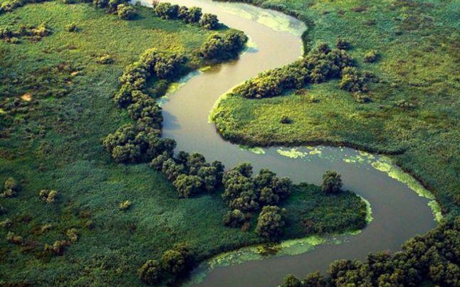 Simpozion Internaţional pe teme de mediu, organizat de UDJG