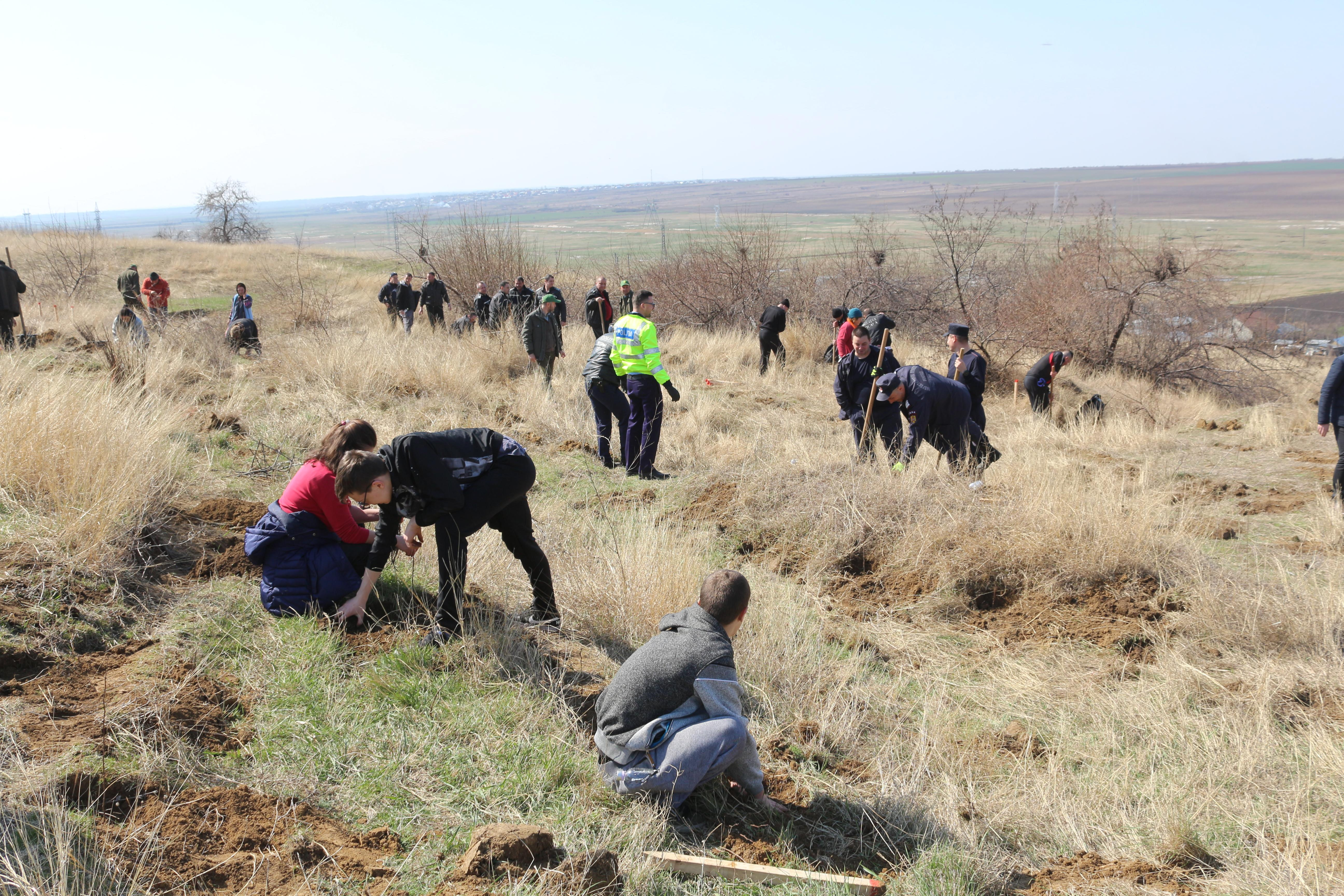 Pădurea Generalului Grigorescu prinde contur la Izvoarele