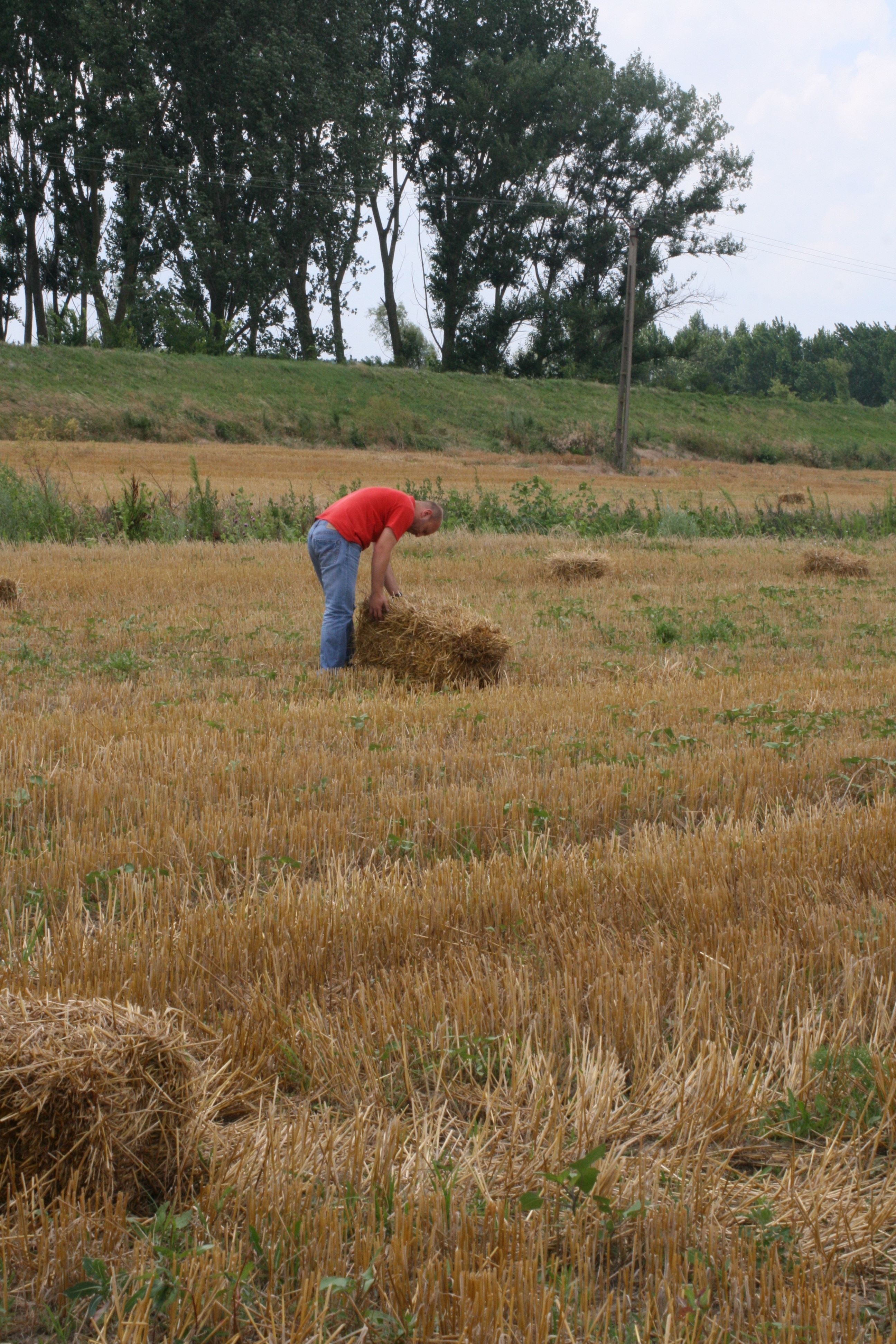 Cetăţenii străini ar putea cumpăra teren arabil din acest an