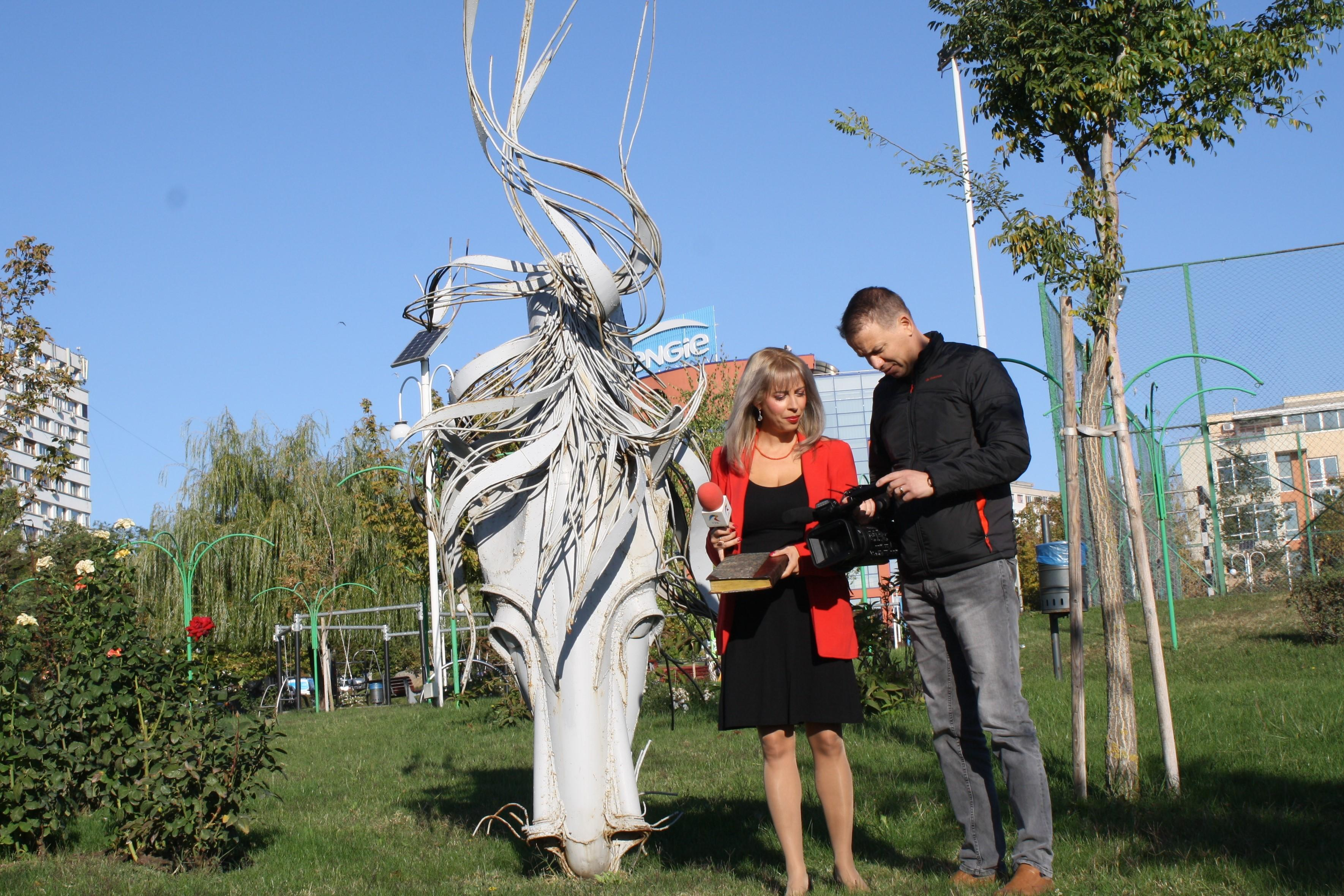 România pe hârtie în 100 de chipuri. Îmblânzirea artei și a faptei