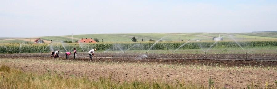 Cât s-a irigat, până acum, în Galaţi