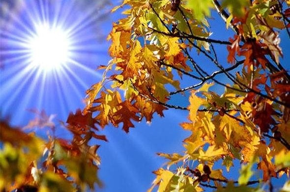 Vremea se încălzeşte în zilele următoare, până în weekend