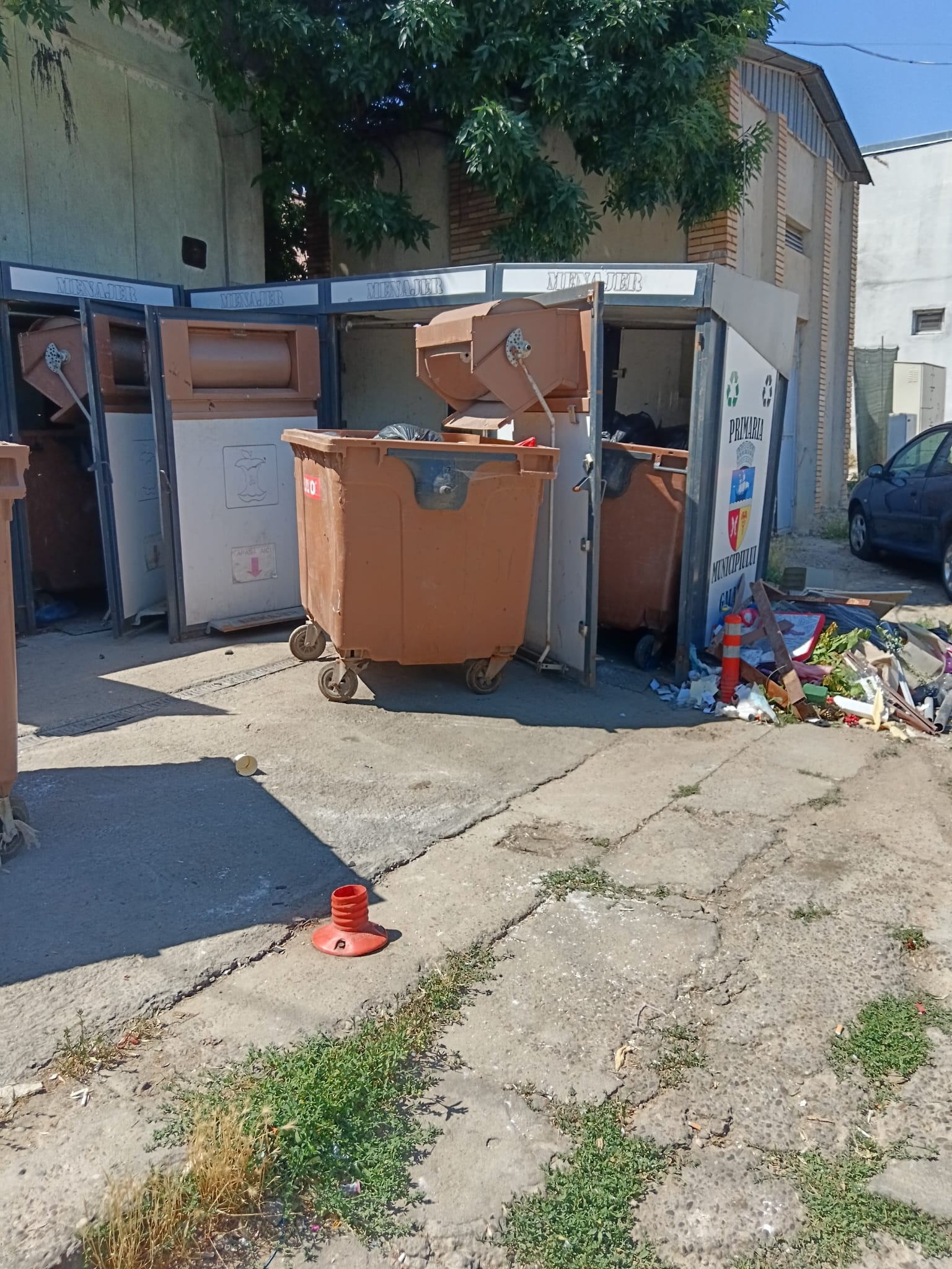 În plină caniculă, tomberoanele devin focare de infecție