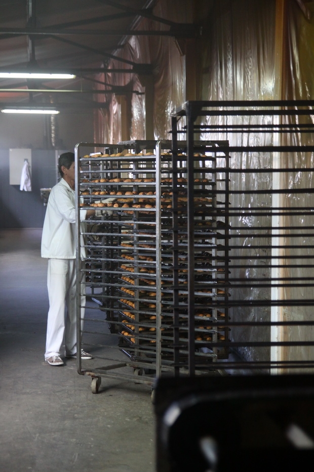 Drumul scump până la raft - Alimentele, taxele şi producătorii