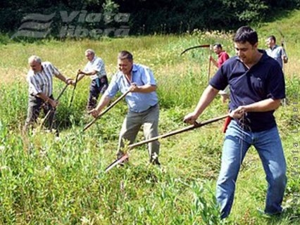 Ucis de vecinul pe care îl ajutase la cosit
