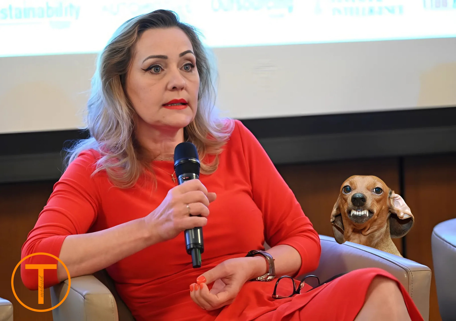 Pacientul maidanez latră pe lângă casa omului