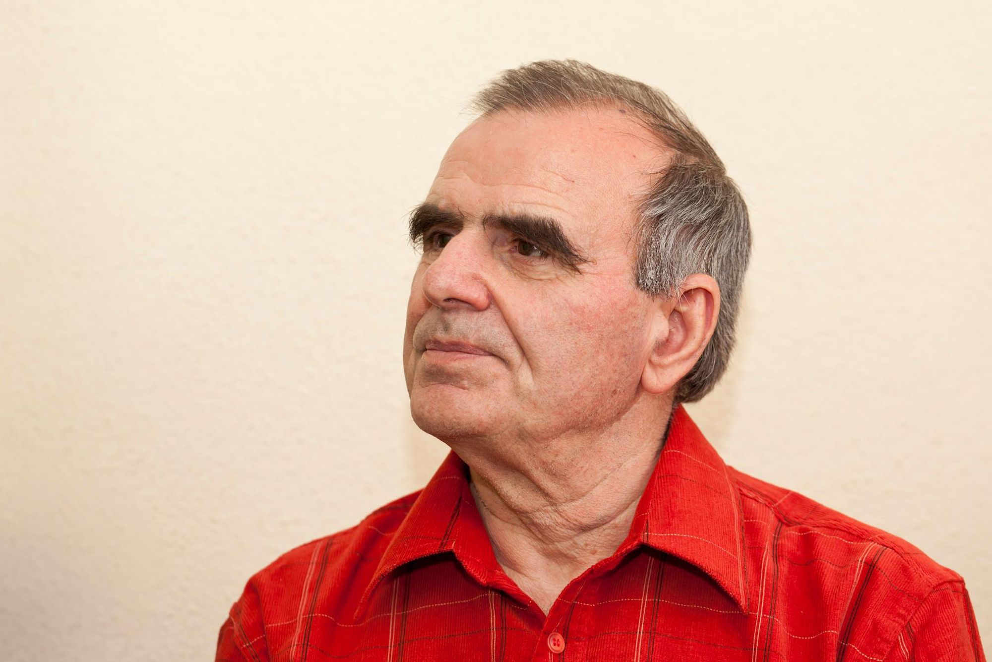 Aniversare. Vasile Ghica - 80