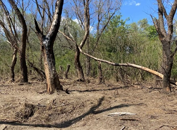 Fragmente de dronă rusească, găsite lână comuna Plauru