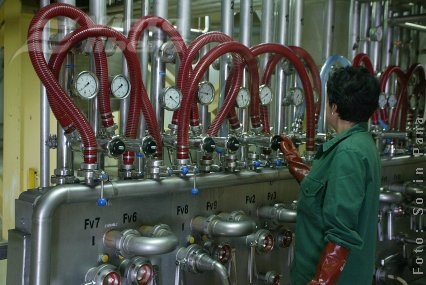 Berea „Ştefan cel Mare” de Galaţi cucereşte America!  