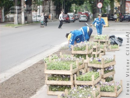 „Înfloreşte” oraşul?