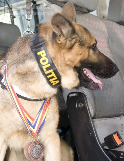 Agentul Ricky de la Explozibili şi Substanţe Periculoase 