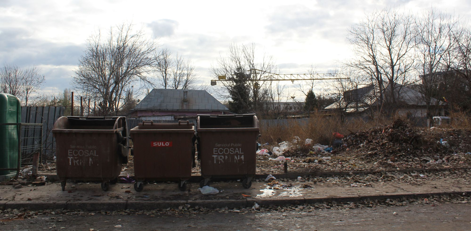 Mormane de gunoaie, în faţa Centrului Social ”Sprijin la greu”