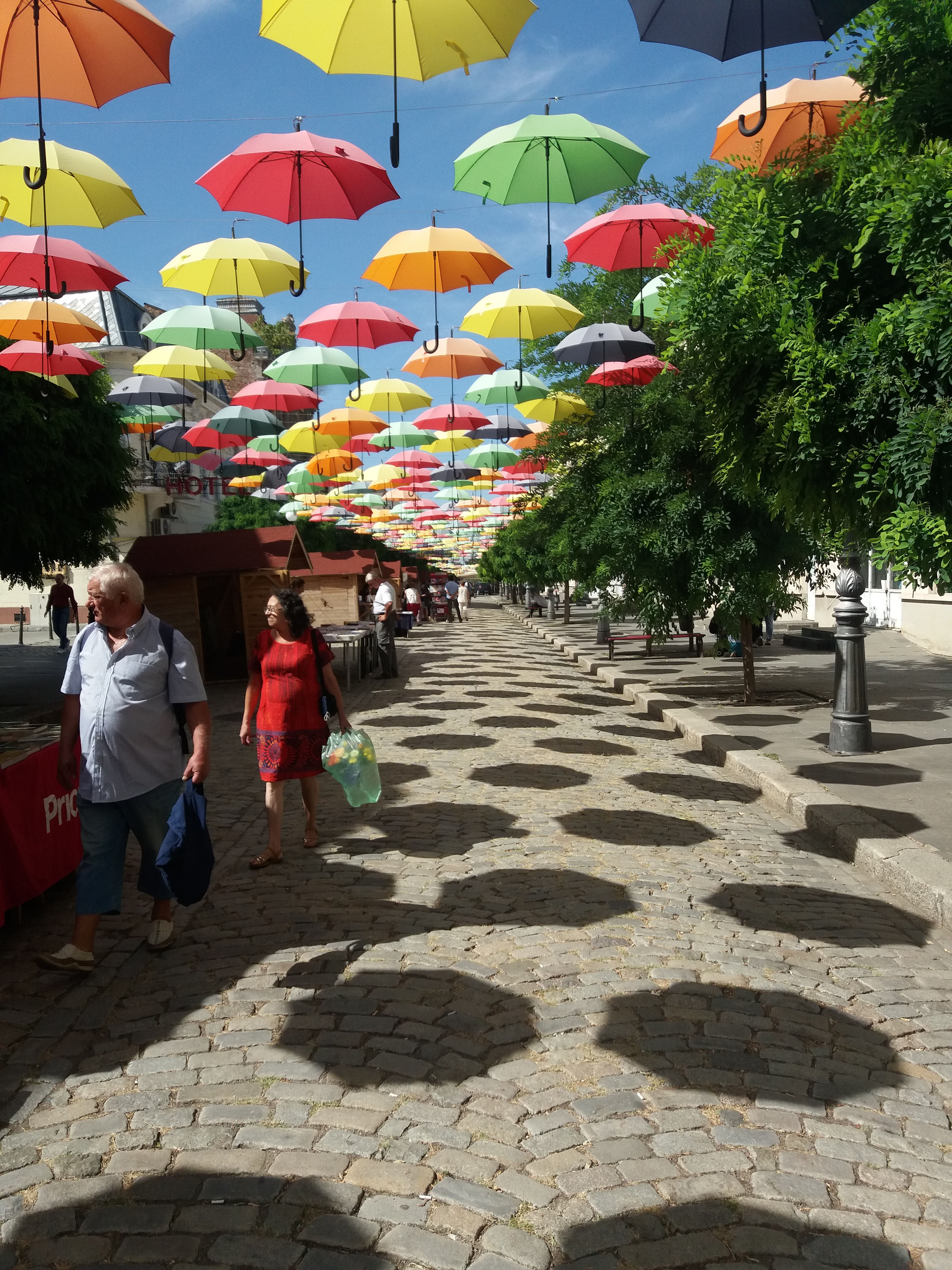 Brăila a reuşit să-şi desfăşoare Târgul de carte!