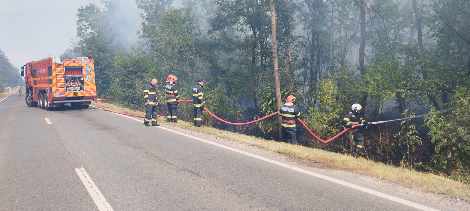 Incendiu puternic în pădurea de la Lacu Sărat