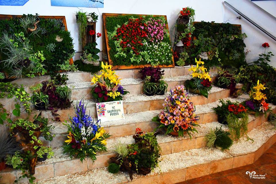Aproape două mii de gălățeni, la EXPO-FLORA. Expoziția este deschisă și duminică