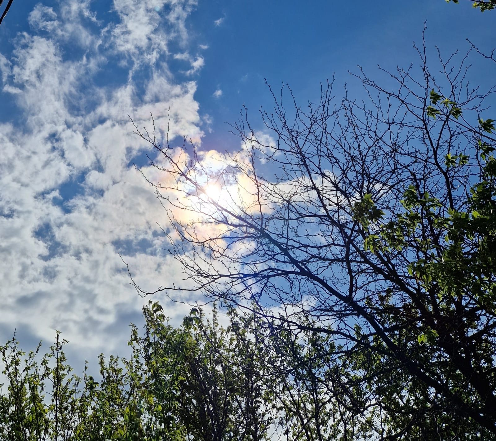 Cer senin și 17 grade în termometre