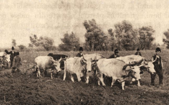 Tradiţii de Ispas şi de unde vine "Paştile cailor"