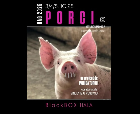 Galaţiul participă cu "Porci" la Noaptea Albă a Galeriilor