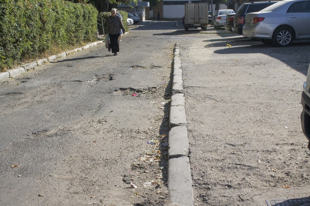 (FOTO) GĂŞTILE de cartier şi CÂINII fac legea printre blocurile din Micro 17