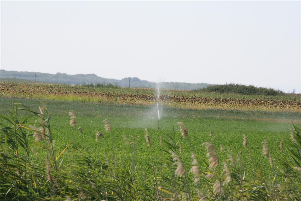 Arşi de soare şi sărăciţi de apă: 