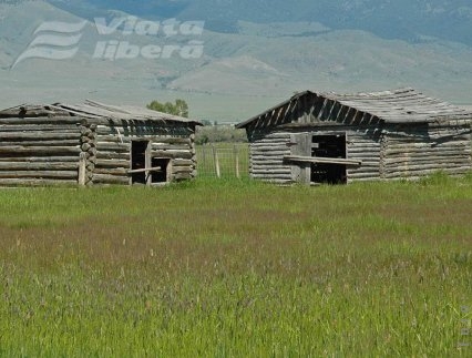 După control, avans la plăţile pe suprafaţă