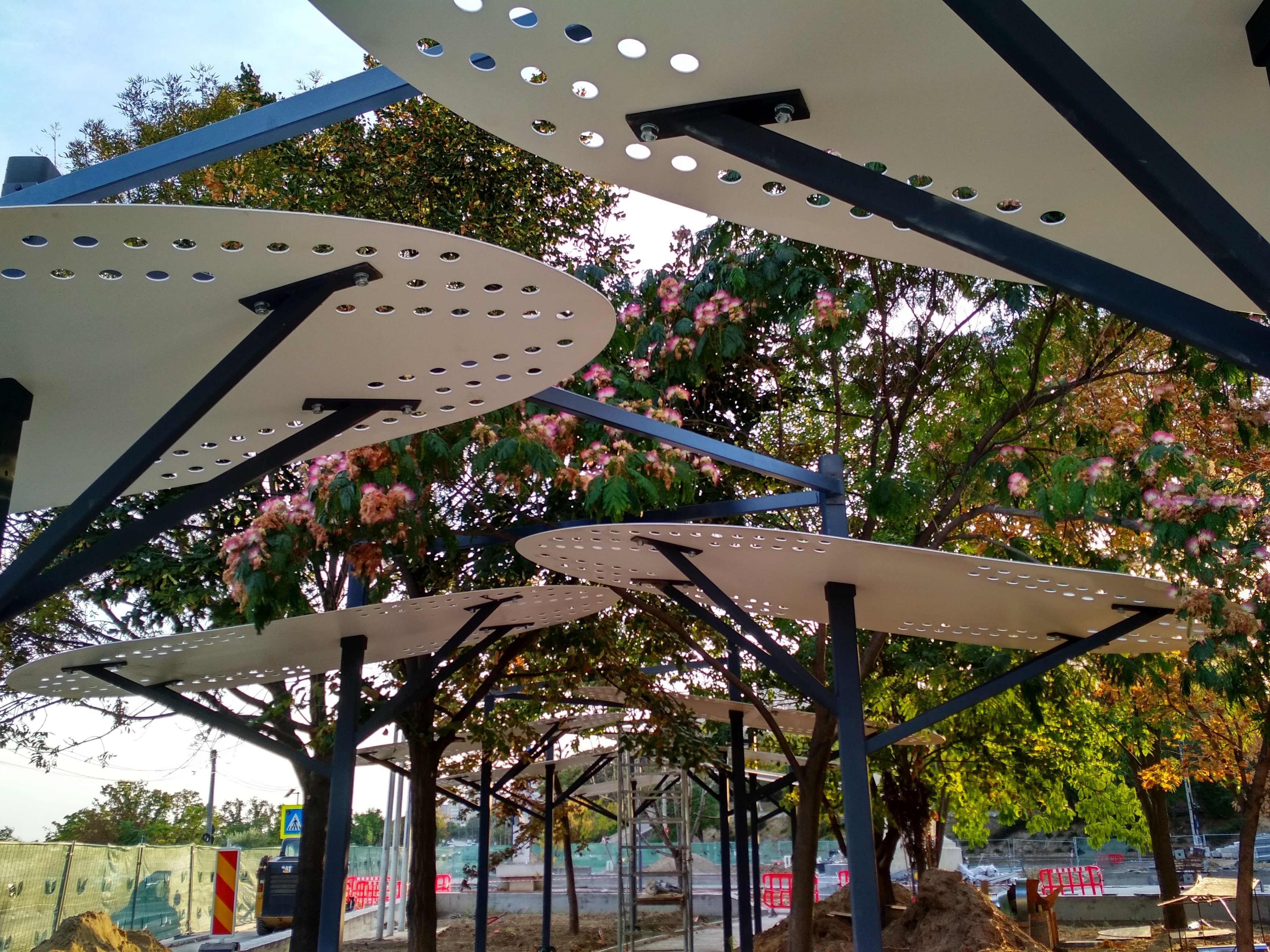 Copacii de tablă de la Galați, celebri la nivel național