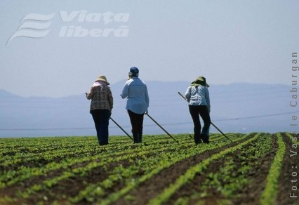 Vin zile negre pentru ţărani