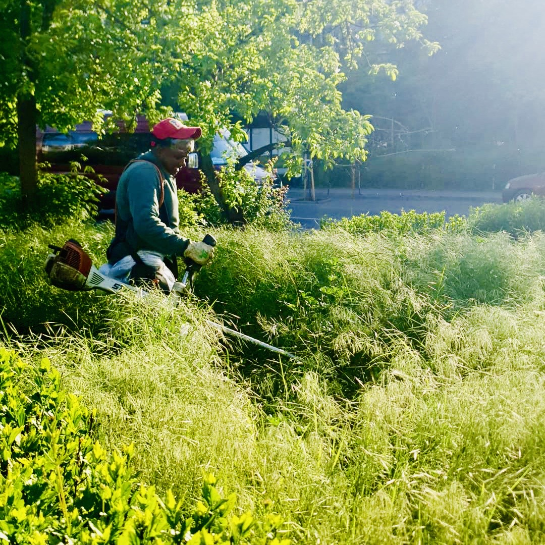Ce cartiere din oraş îi așteaptă pe cosașii de la Gospodărire Urbană
