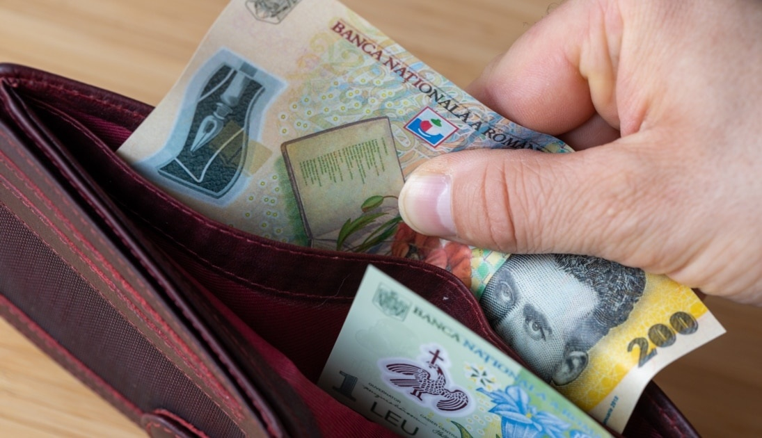 Validarea alegerilor prezidenţiale a adus aprecierea leului