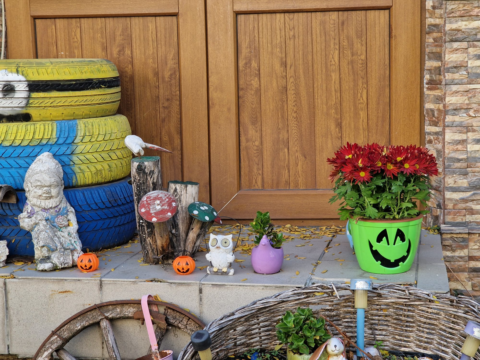 Poza zilei. Pe cine a speriat ghiveciul