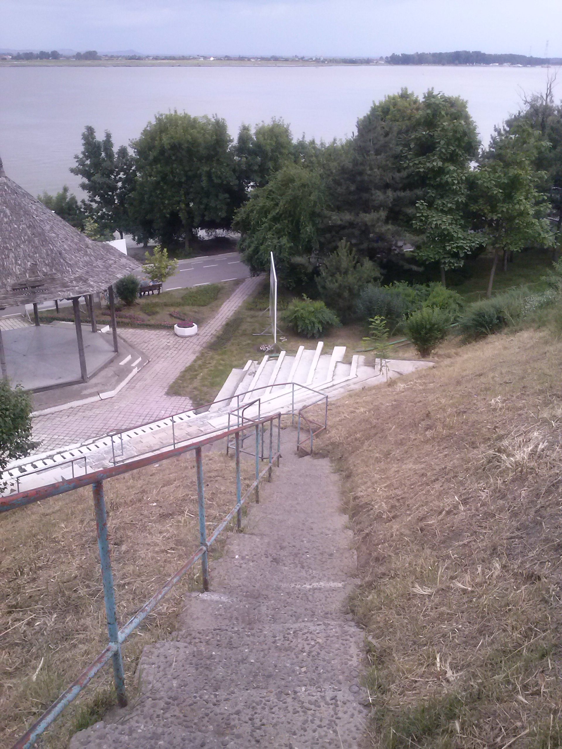 Iarbă tunsă "zero"/ "Politica" lui Kierkegaard în domeniul botanic