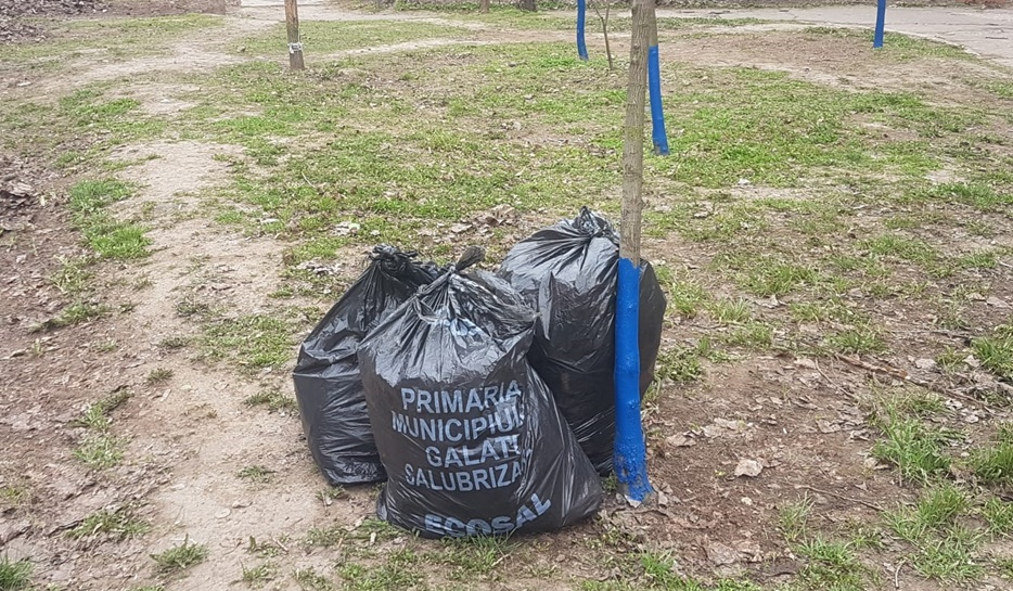 Colectarea gunoiului în zonele de case, amânată