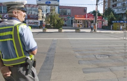 La revedere, zebră urâtă!