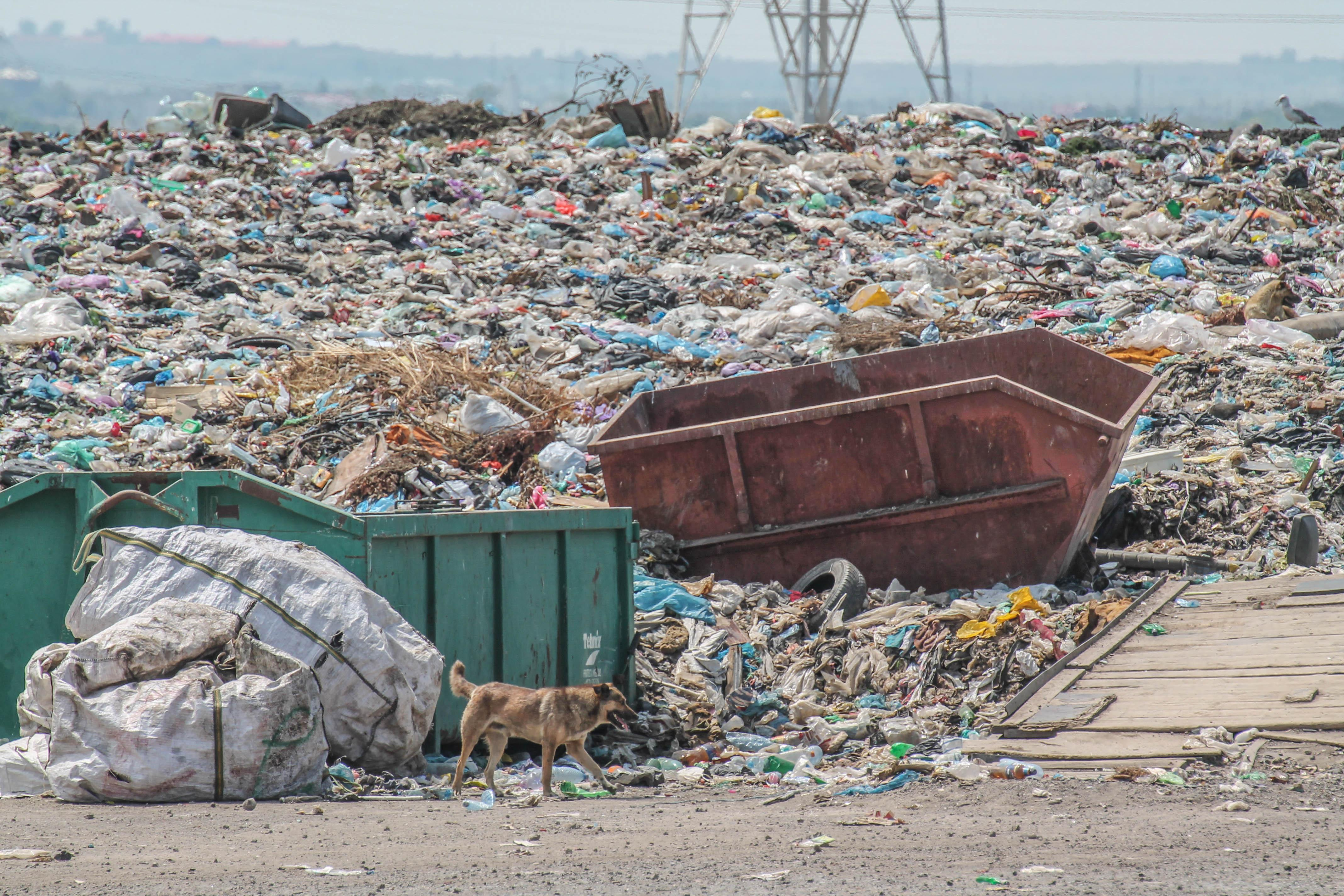 Gunoaiele Galaţiului ajung din ce în ce mai des pe câmp
